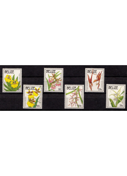 BELIZE 1992 francobolli serie completa nuova Orchidee Yvert e Tellier 972/7